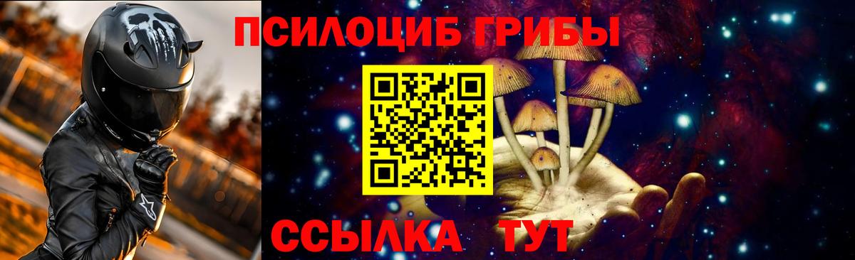 Новочеркасск  купить закладку  Вход с VPN  Галлюциногенные грибы Psilocybine cubensis 